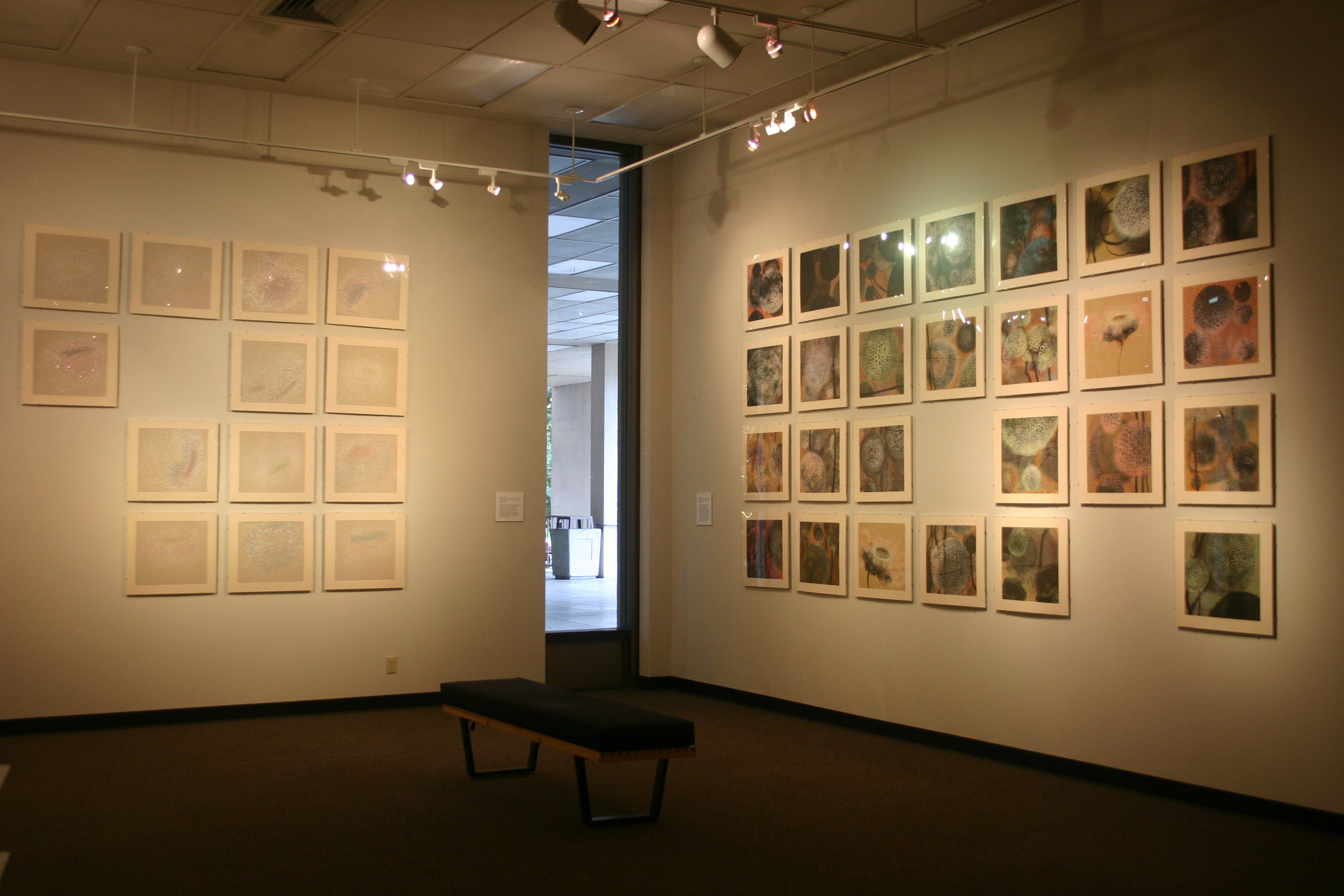 Flowers from the Sky, Installation View I